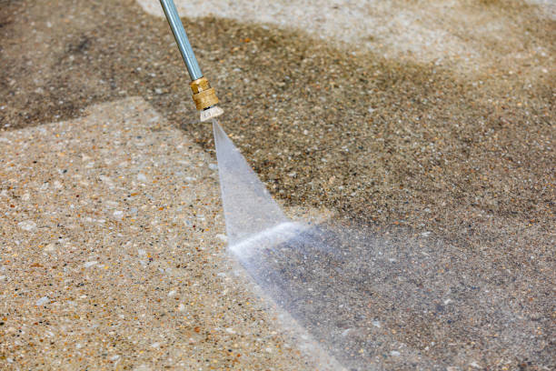 Best Concrete Sealing  in Zapata, TX
