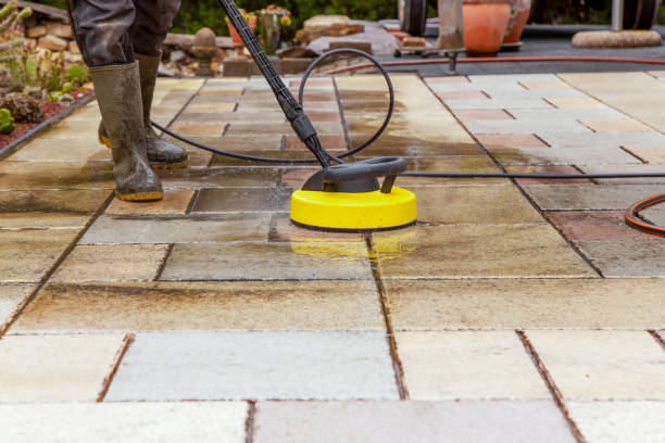 Best Driveway Pressure Washing  in Zapata, TX