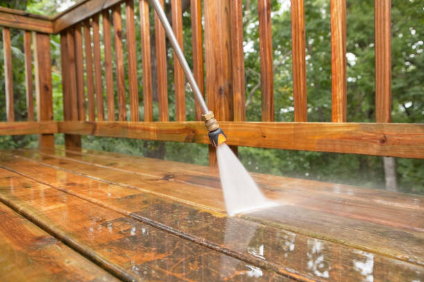 Best Warehouse Cleaning  in Zapata, TX